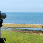 Gorgeous In With Wifi Holiday home